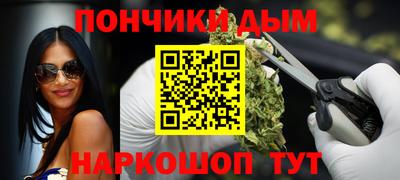 индика Новозыбков
