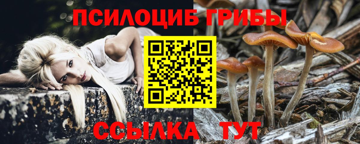 дарнет шоп  Галлюциногенные грибы Psilocybine cubensis  Севастополь  Вход с VPN  Псилоцибиновые грибы прущие грибы 